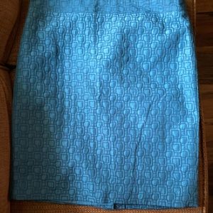 🦉Ann Taylor Skirt🦉